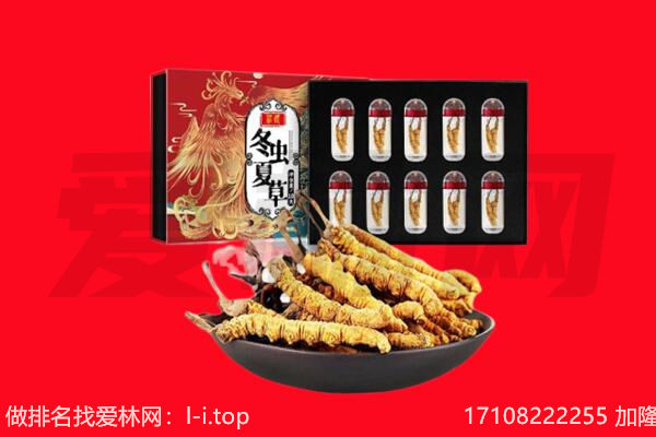 河池大化县回收虫草.jpg